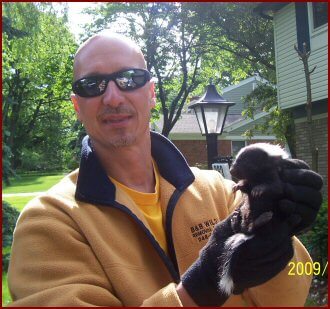 Capturing Skunk