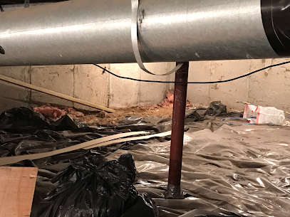 Dead Animal Smell in Crawl Space | Michigan Dead Animal Removal